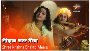 shree-krishna-bhakto-meera